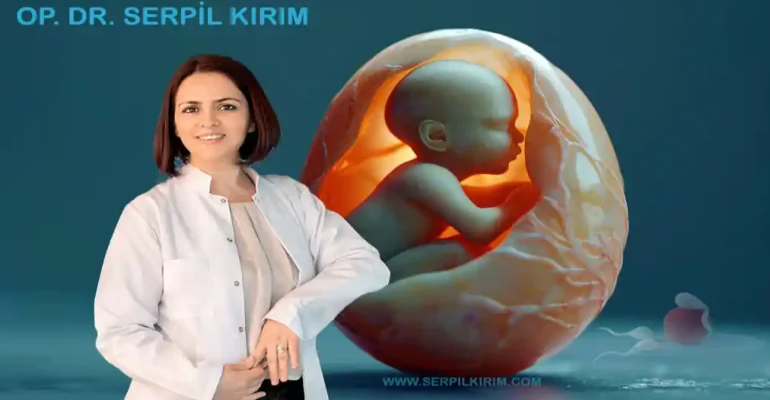 Bakırköy Tüp Bebek Tedavisi Nedir?